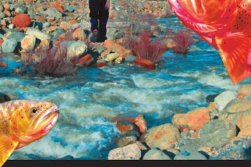 Trout’s Honor – original screenplay