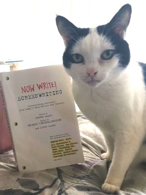 Now Write! Screenwriting